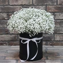 Цветочная композиция из Гипсофила в шляпной коробке в Уральском