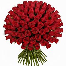 Букет Красные розы Чери Лав в Уральском