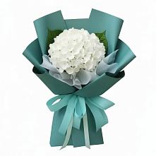 Букет цветов из:  Гортензия #REPLACE_PRED# Уральском